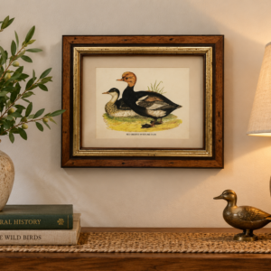 Obraz retro w drewnianej ramie Red Crested Whistling Duck