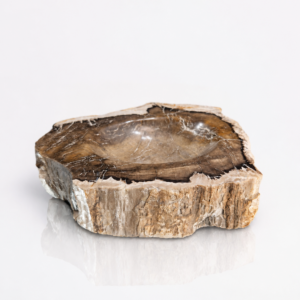 Minerał, kamień skamieniałe drewno Madagaskar waga 1,9kg