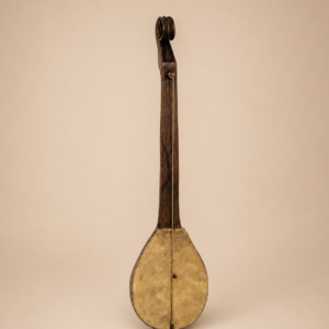 Instrument jednostrunowy bałkański Gusle