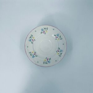 Schramberger Majolica cup saucer