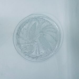 Duralex glass platter