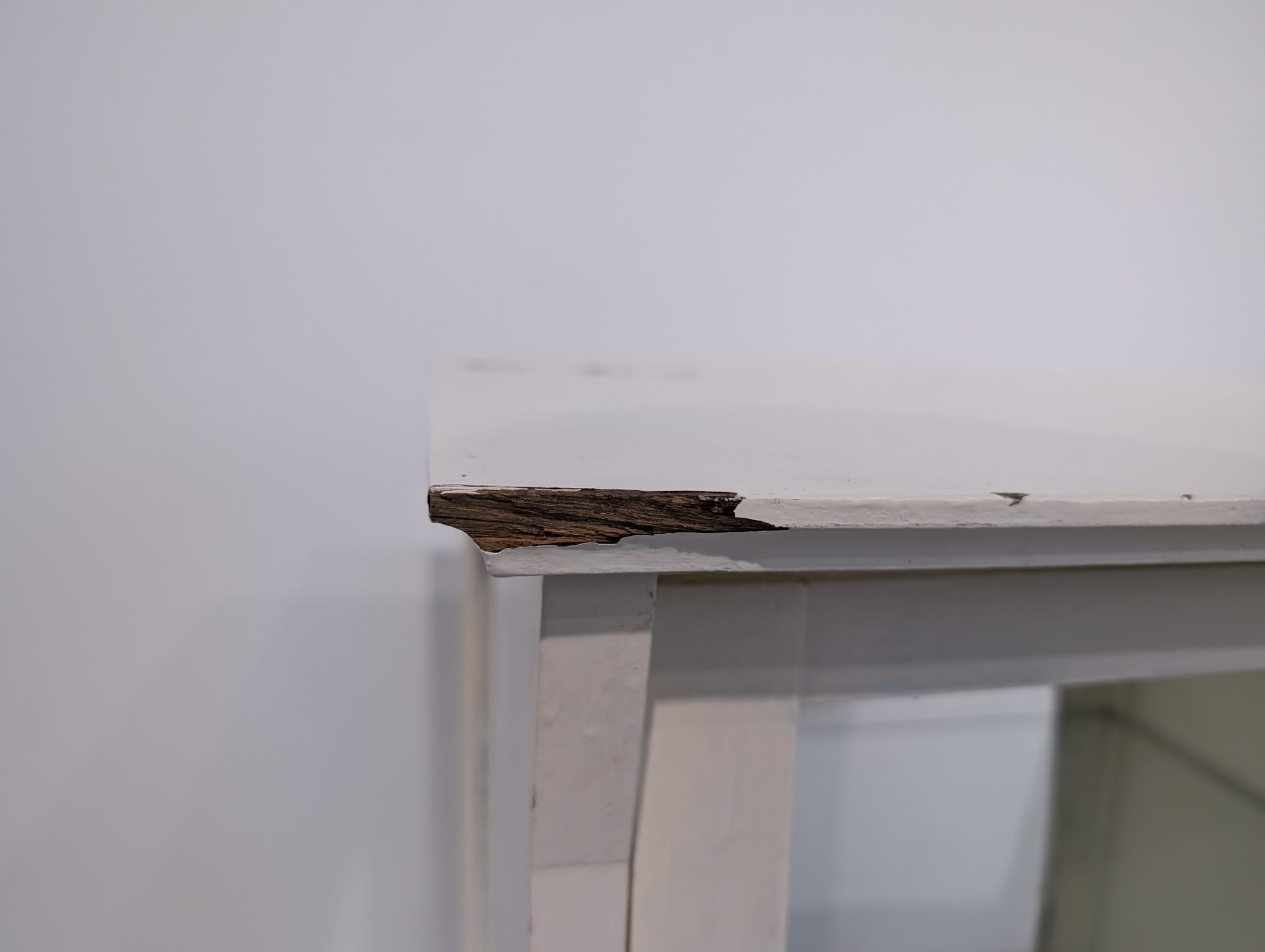 Zaszklona witryna, lada bielona secesyjna - obrazek 13