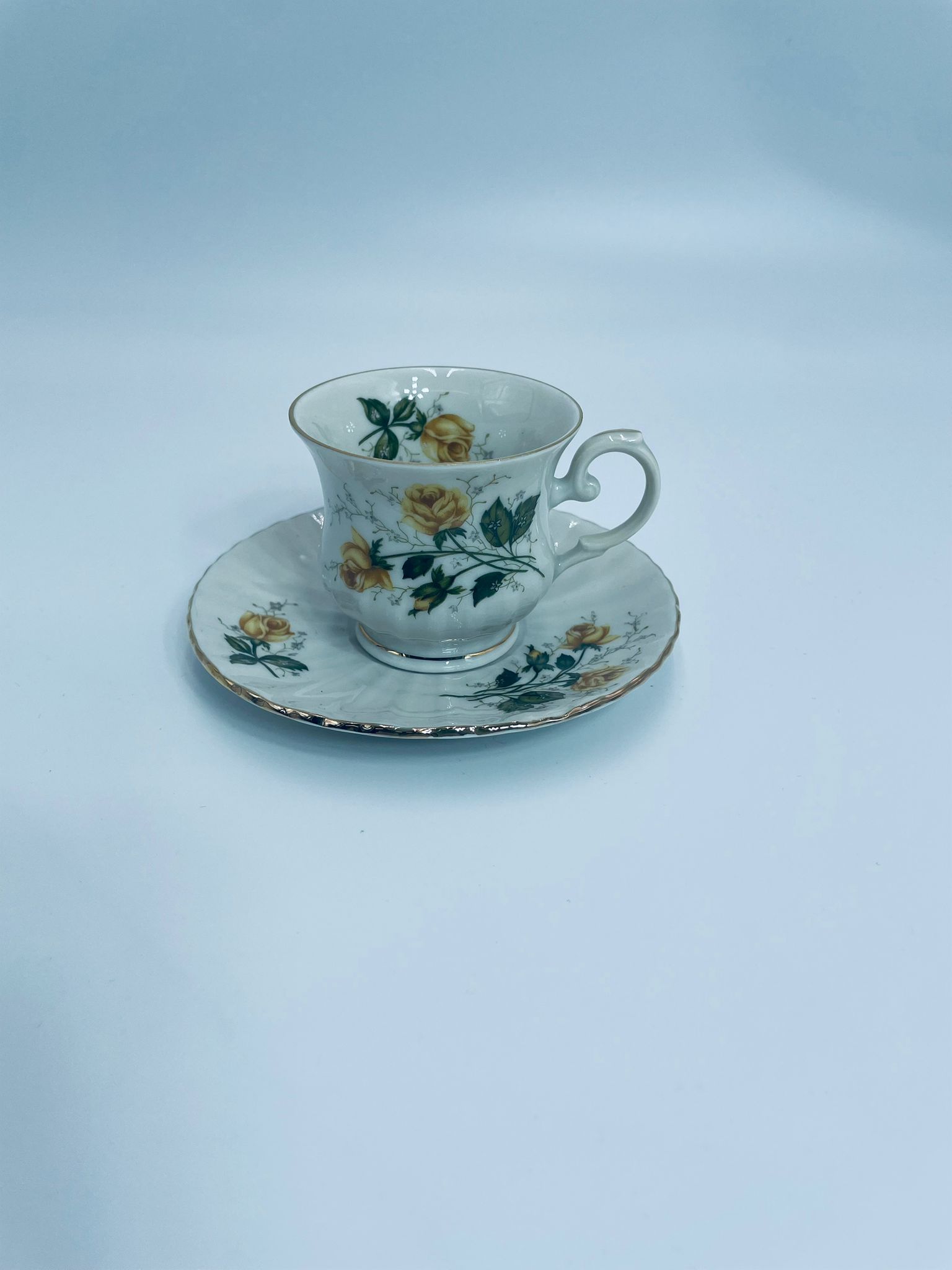 Breakfast set Collectible porcelain cup Seltmann Weiden