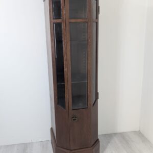 Narrow display case, Art Nouveau oak