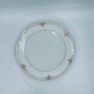 Vintage porcelain flat dinner plate
