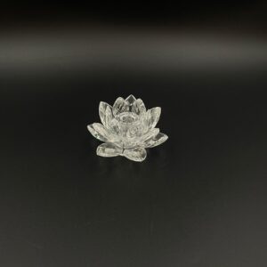 Świecznik kryształowy Swarovski Max Schreck