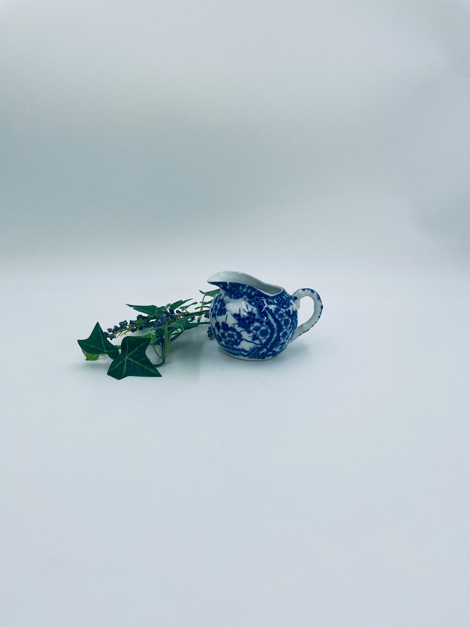 Mlecznik porcelanowy Japoński - Image 11