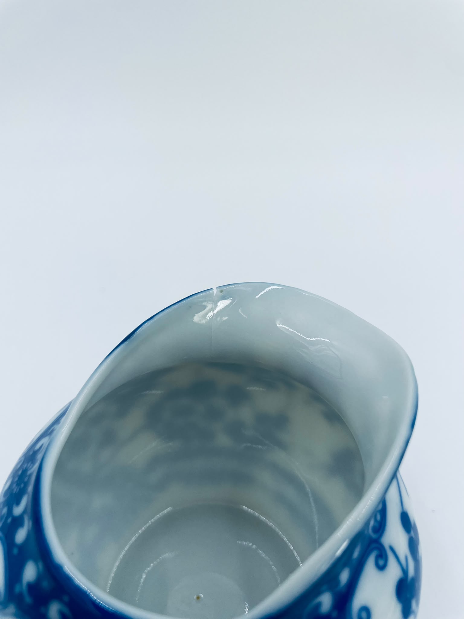 Mlecznik porcelanowy Japoński - Image 10