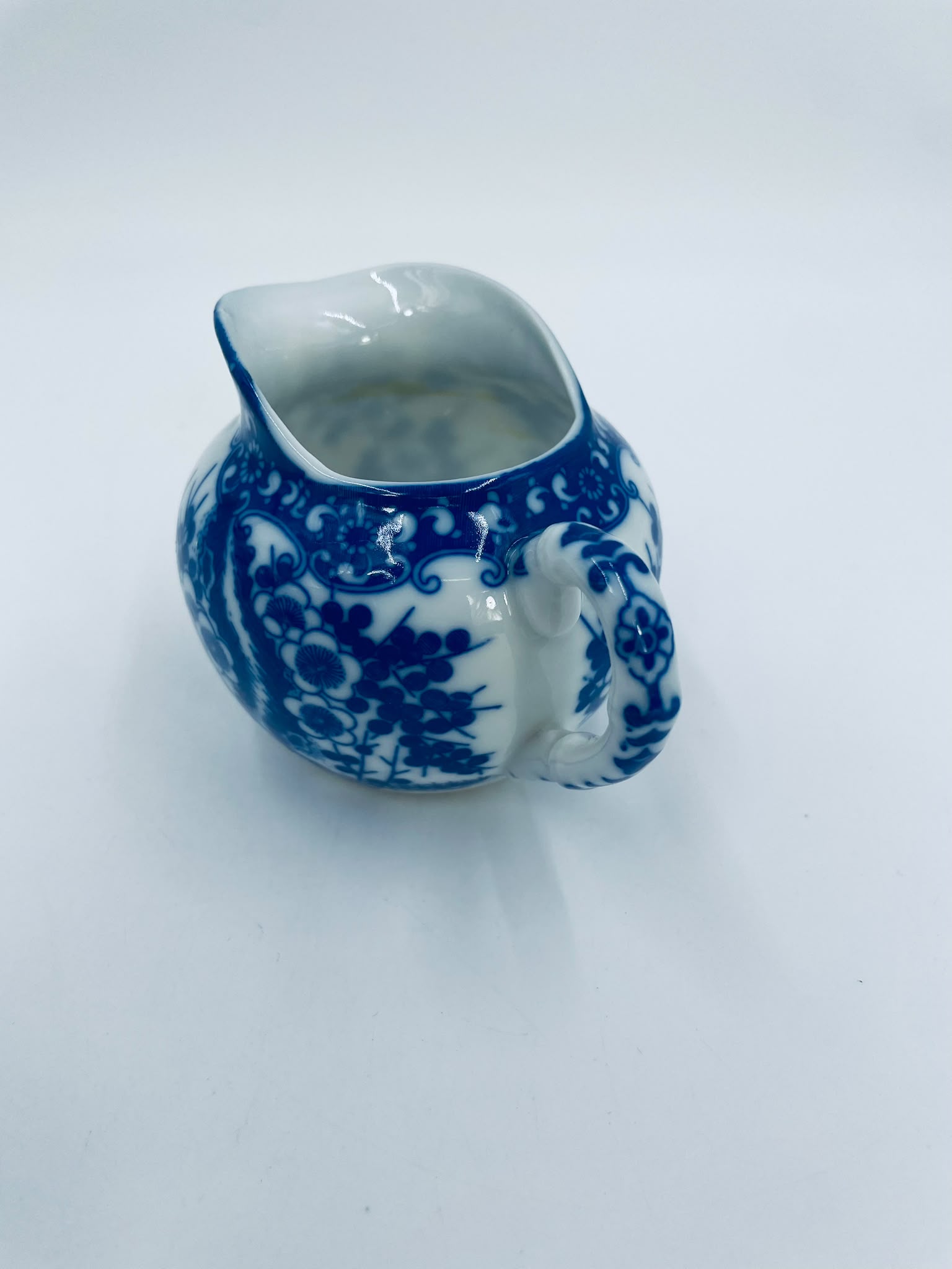 Mlecznik porcelanowy Japoński - Image 9
