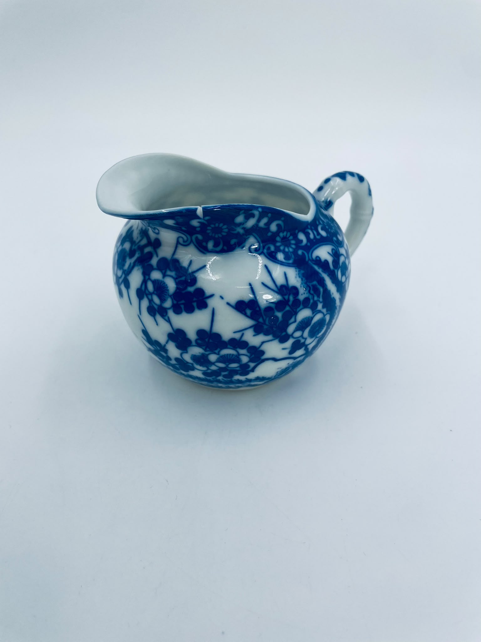 Mlecznik porcelanowy Japoński - Image 8