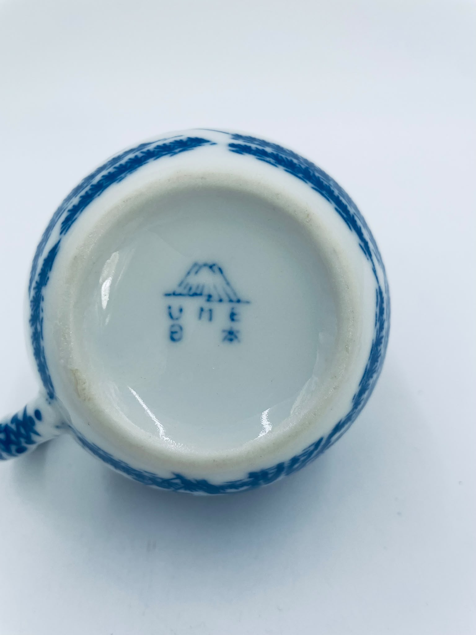 Mlecznik porcelanowy Japoński - Image 6