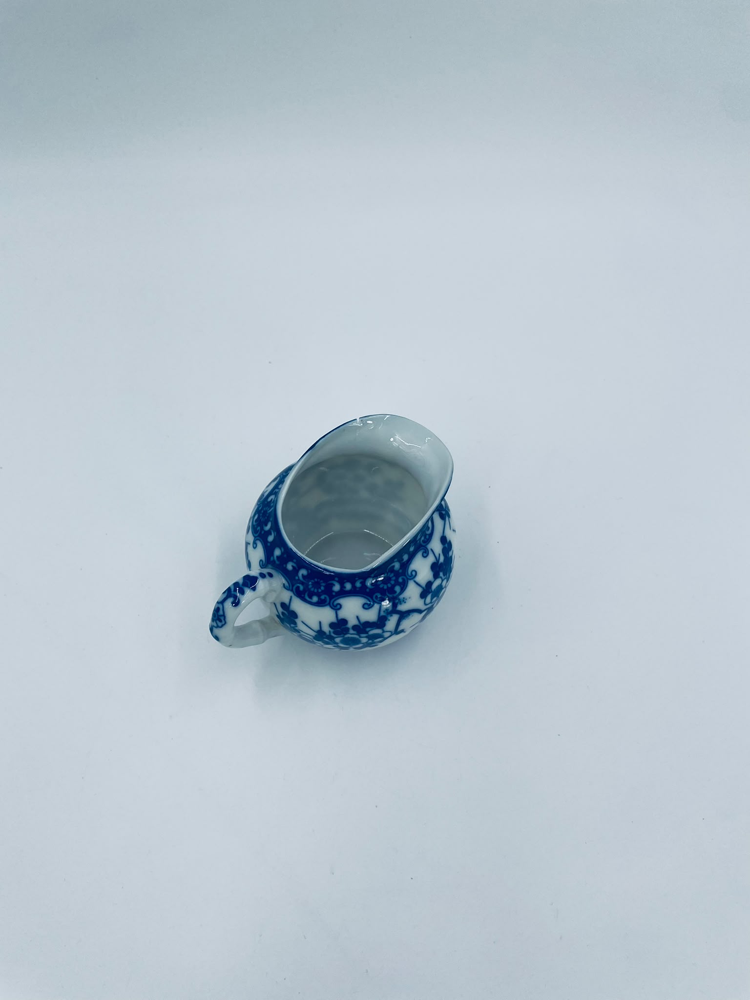 Mlecznik porcelanowy Japoński - Image 5